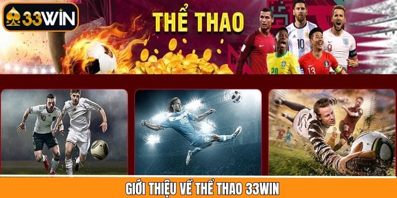 Sơ lược sảnh cá cược thể thao tại 33Win
